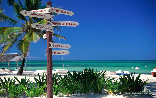 Beach signpost palm tree directions free wallpaper - medium preview image