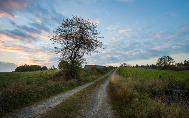 Dirt road tree sunset field #2 free wallpaper - medium preview image