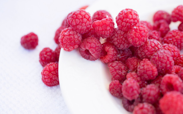 White spoon raspberries flower roses free wallpaper - medium preview image