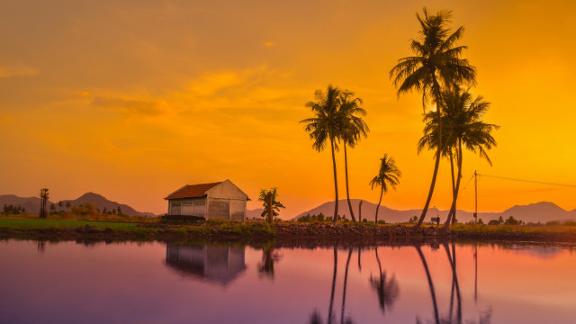 Lake shore house palm trees free wallpaper - medium preview image