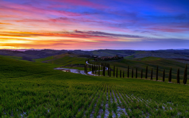 Sunset green field road house free wallpaper - medium preview image