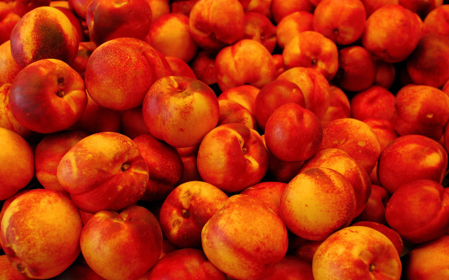 Red apples pile summer vibrant free wallpaper - medium preview image