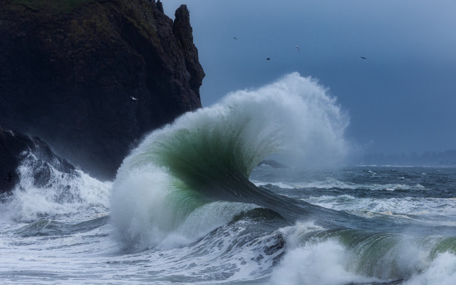 Large wave cliff birds ocean free wallpaper - medium preview image
