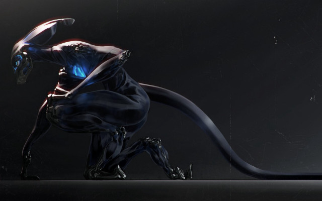Black blue animal long tail free wallpaper - medium preview image
