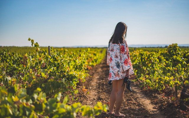 Woman field sky vines flower free wallpaper - medium preview image