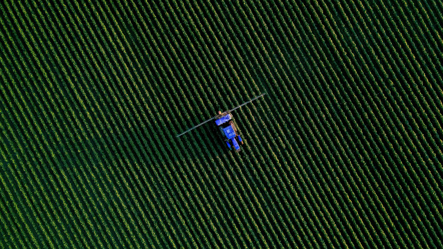 Man blue boat green field free wallpaper - medium preview image
