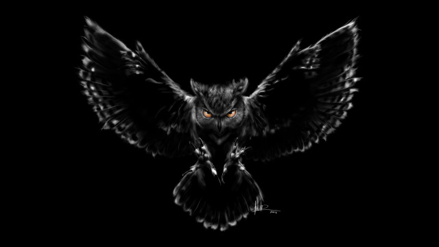 Black owl orange eyes flying free wallpaper - medium preview image