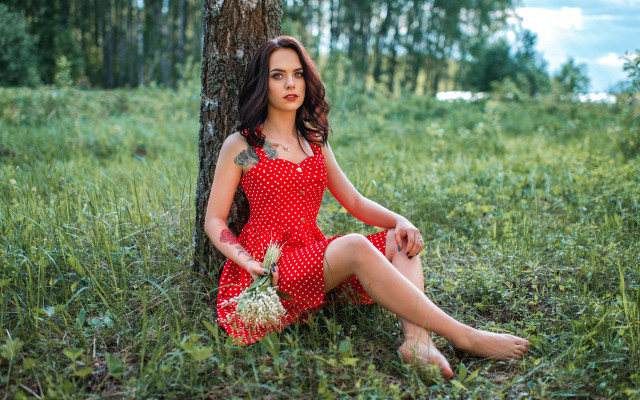 Woman red dress sitting grass free wallpaper - medium preview image