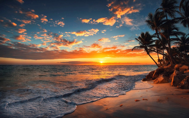 Sunset ocean palm trees rocky #2 free wallpaper - medium preview image