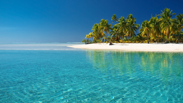 Beach palm trees clear water #15 free wallpaper - medium preview image