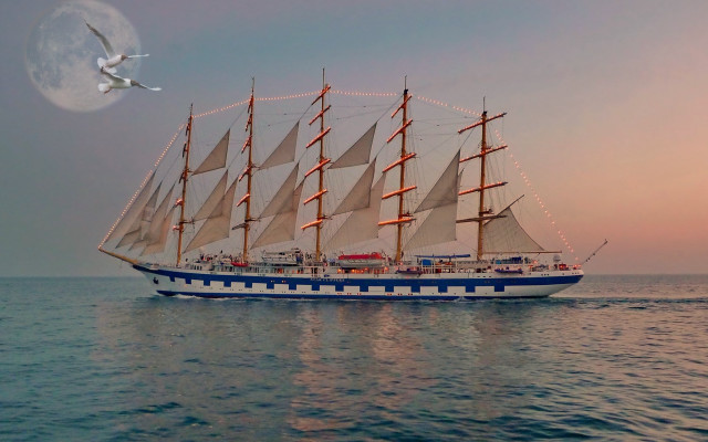 Sailboat fullmoon seagull ocean night free wallpaper - medium preview image