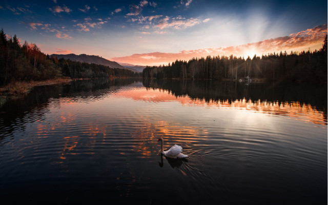Swan lake sunset magic realism free wallpaper - medium preview image