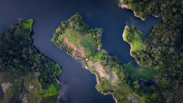 River forest tilt shift nature free wallpaper - medium preview image