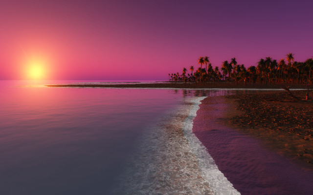 Beach sunset palm trees water #5 free wallpaper - medium preview image
