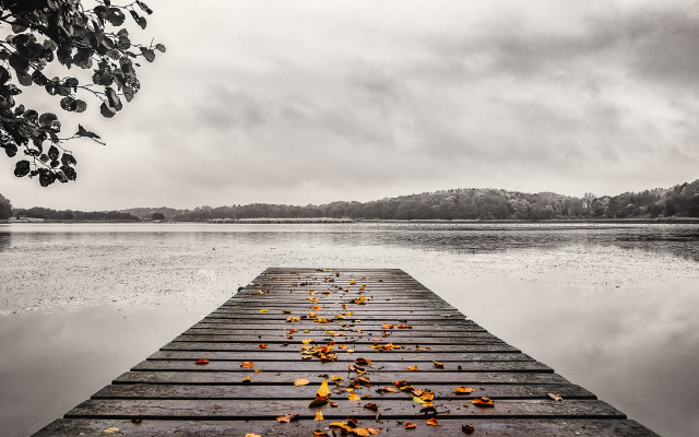 Wooden dock leaves water cloudy free wallpaper - medium preview image