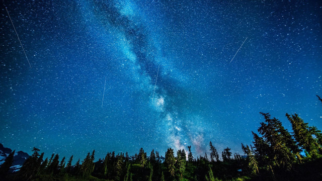 Night sky stars shooting tree free wallpaper - medium preview image