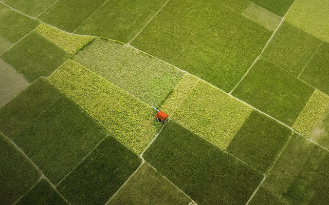 Red umbrella green field jigsaw free wallpaper - medium preview image