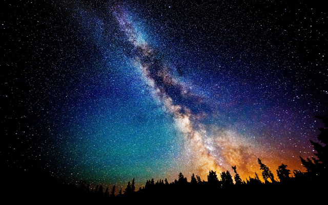 Night sky bright star tree #5 free wallpaper - medium preview image