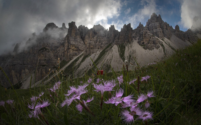 Mountain range purple flowers clouds free wallpaper - medium preview image