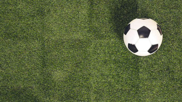 Soccerball greenfield shadow tiltshift portrait free wallpaper - medium preview image