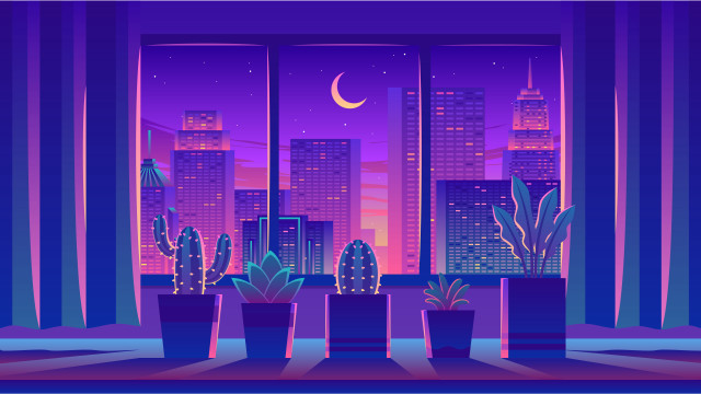City night cactus window aurora free wallpaper - medium preview image