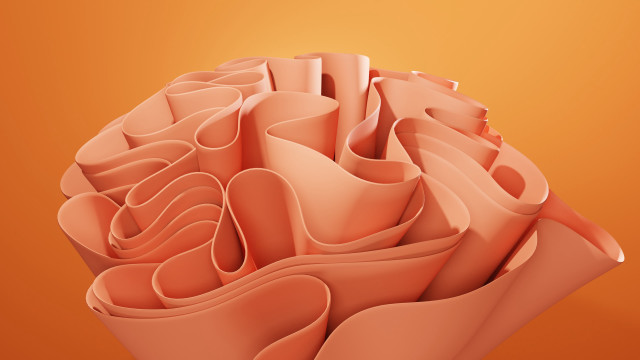 Pink flowers 3d gradient background free wallpaper - medium preview image
