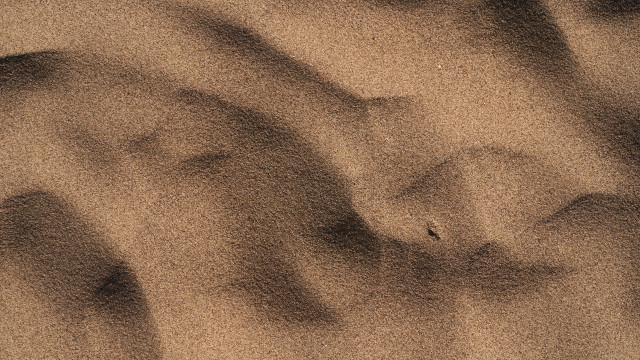 Sand dune bird land art free wallpaper - medium preview image