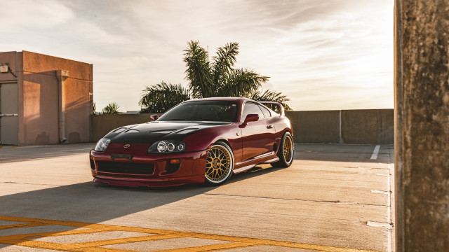 Red sports car palm tree #2 free wallpaper - medium preview image