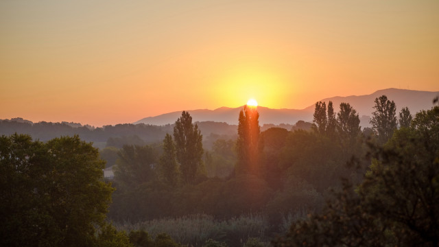 Sunset forest mountains trees clouds free wallpaper - medium preview image