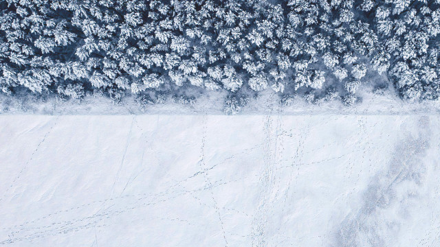 Snow covered field trees sky #2 free wallpaper - medium preview image