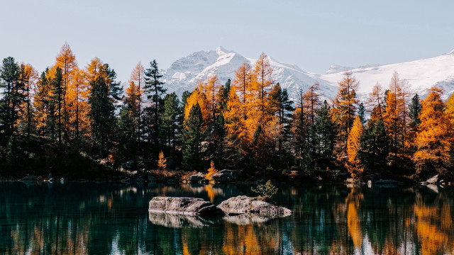 Mountain lake reflection autumn leaves free wallpaper - medium preview image