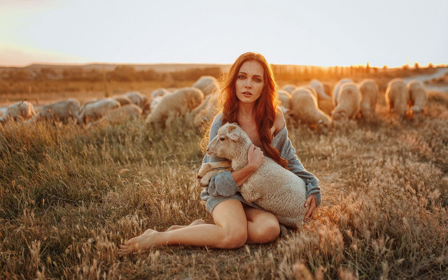 Woman sitting field sunset sheep free wallpaper - medium preview image