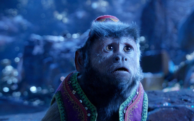 Monkey hat scarf looking up free wallpaper - medium preview image