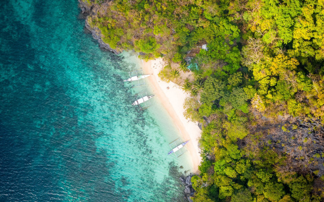 Beach boats trees aerial tilt free wallpaper - medium preview image