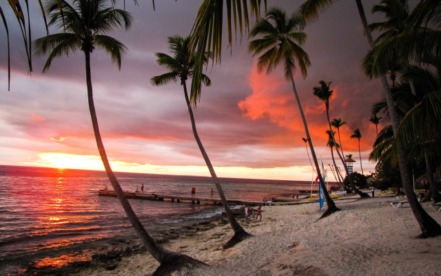 Beach palm trees sunset boat free wallpaper - medium preview image