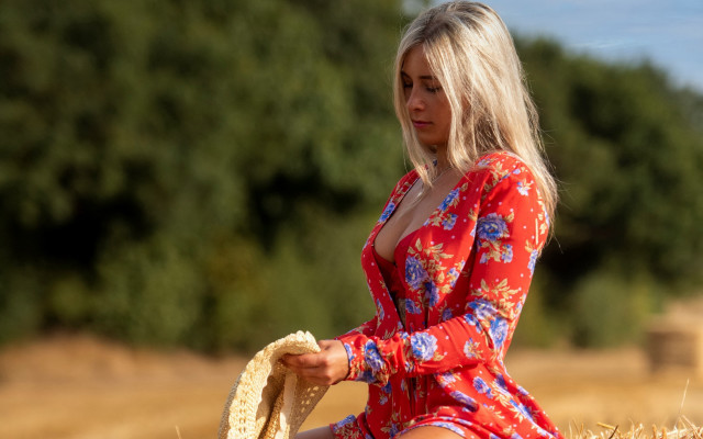 Red dress hay bale impressionist free wallpaper - medium preview image