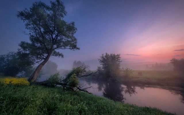 Tree hill river flowers magic free wallpaper - medium preview image