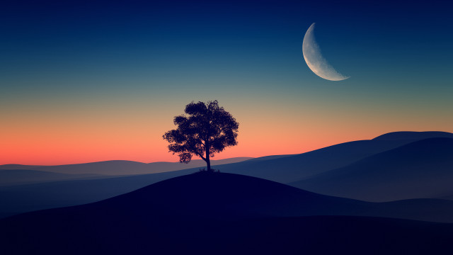 Lone tree crescent moon dusk free wallpaper - medium preview image