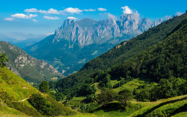 Mountain range valley trees lake #2 free wallpaper - medium preview image