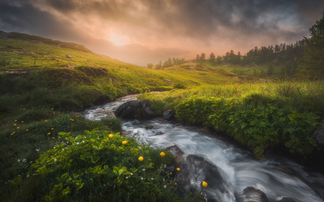 Stream lush hillside yellow flowers free wallpaper - medium preview image