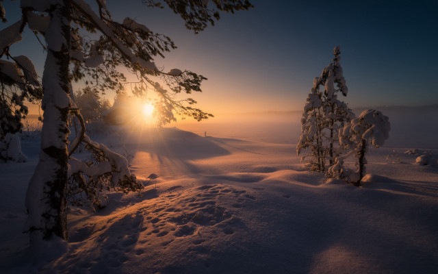 Sunset snow trees mountain ocean free wallpaper - medium preview image