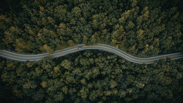 Forest road winding car truck free wallpaper - medium preview image