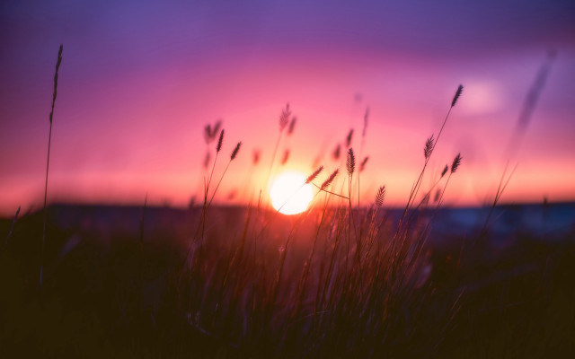 Sunset field grass building purple free wallpaper - medium preview image