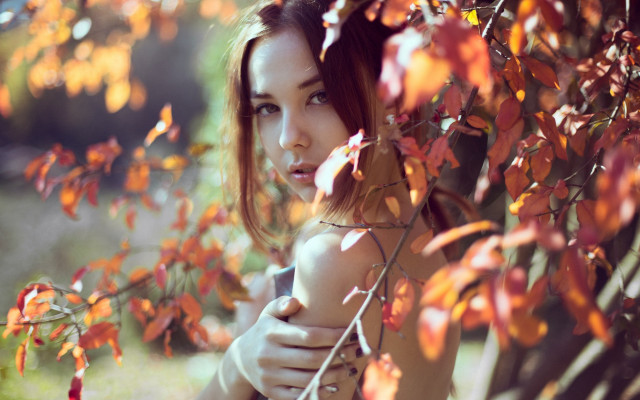 Woman autumn leaves fire portrait free wallpaper - medium preview image