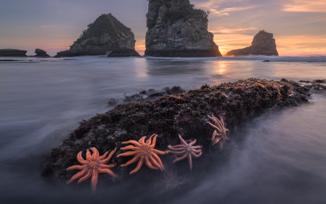 Starfish rocks ocean sunset formation free wallpaper - medium preview image