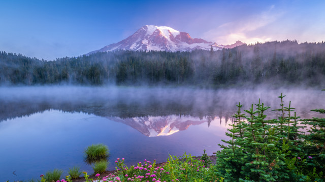 Mountain lake forest flowers sunset free wallpaper - medium preview image