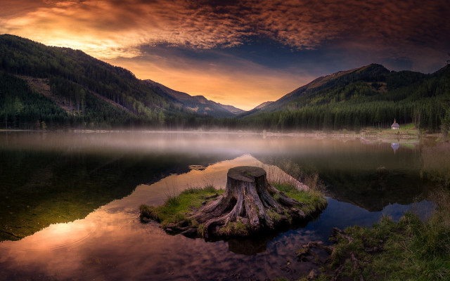 Lake tree stump mountain red free wallpaper - medium preview image