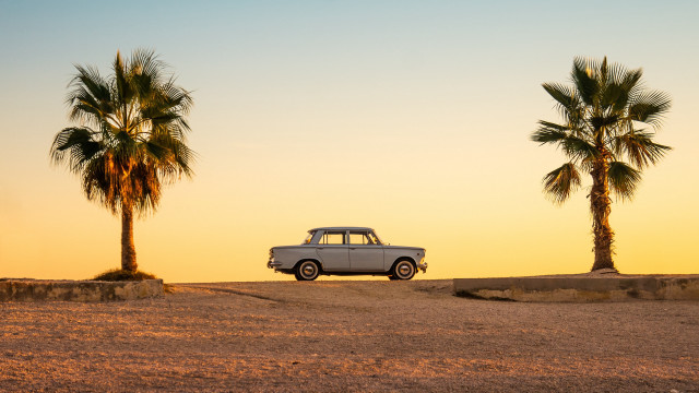 Desert car palm trees sunset free wallpaper - medium preview image