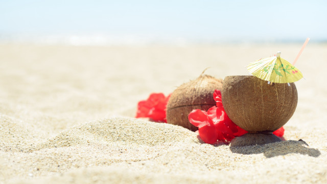 Coconut beach umbrella redflowers summer free wallpaper - medium preview image