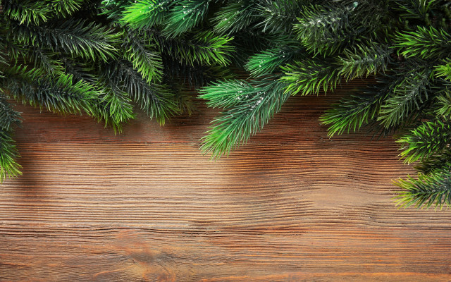 Pine tree wooden surface nature free wallpaper - medium preview image